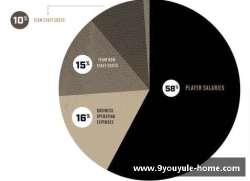 NBA球队财政管理策略：如何优化支出与增加收入？